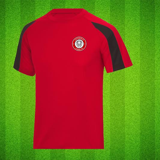 Cotswold Lions Kids Training Tshirt
